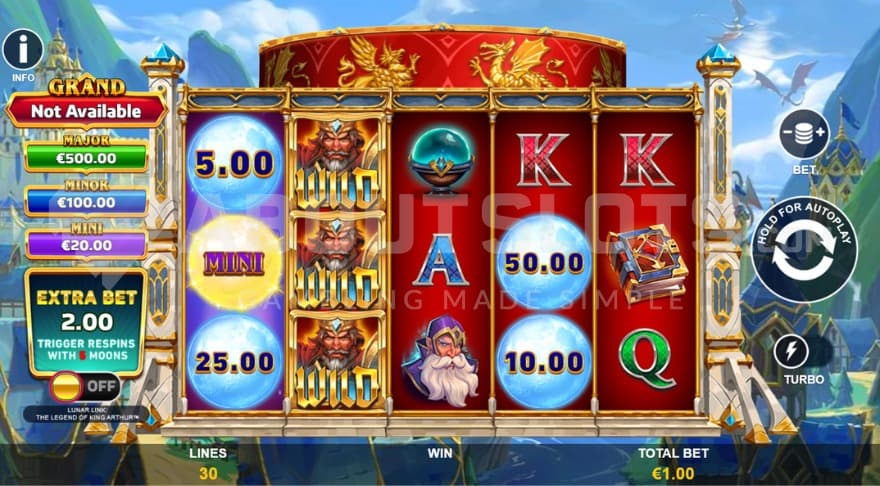 Wild Symbol on reel 2