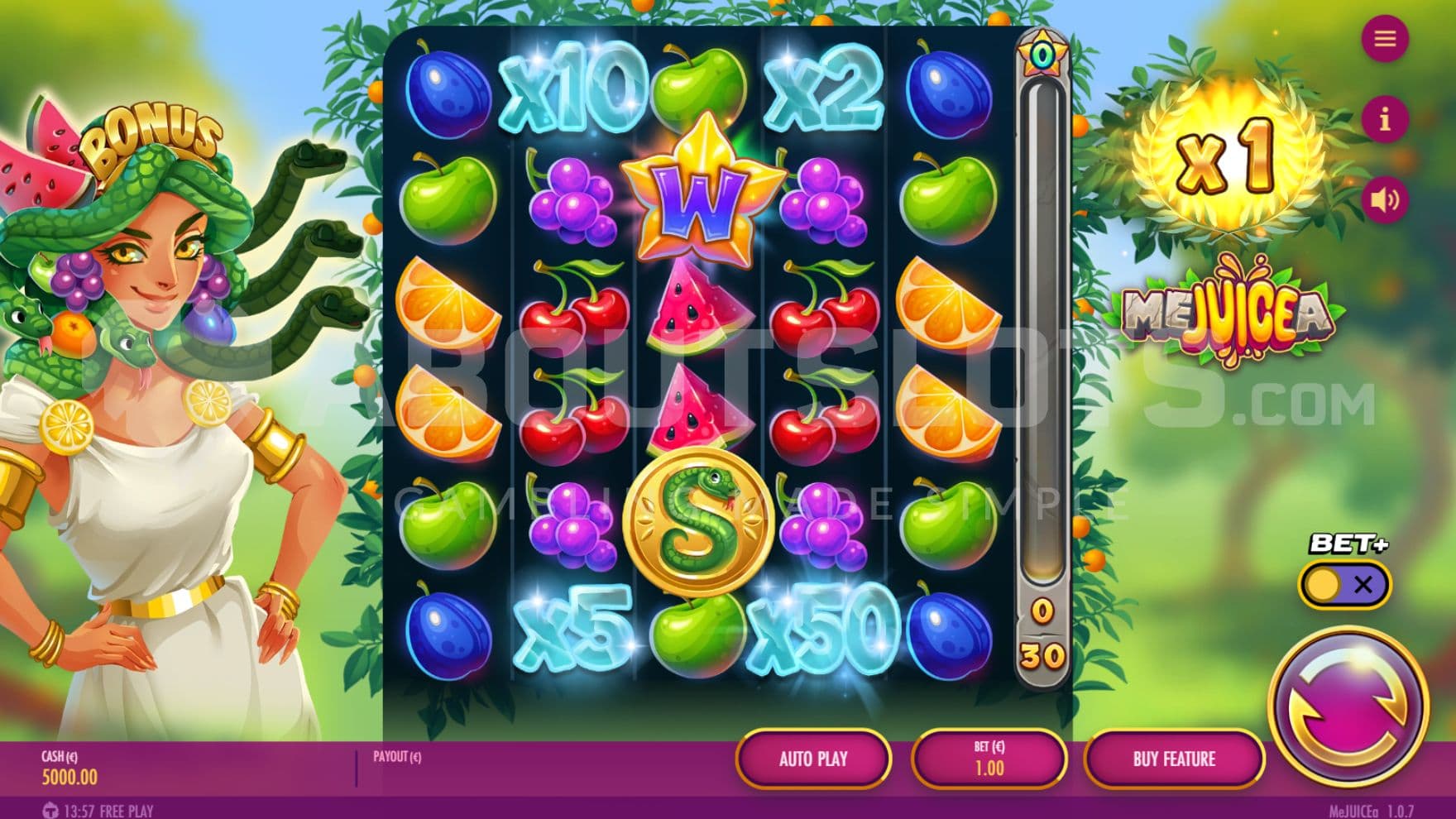 Charge Meter on right side