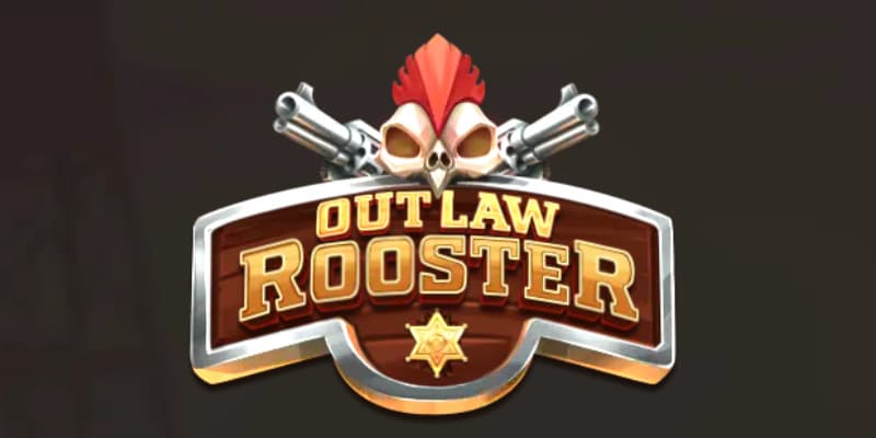 Outlaw Rooster Banner