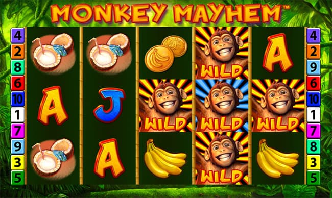 Monkey Mayhem slot by Merkur Gaming