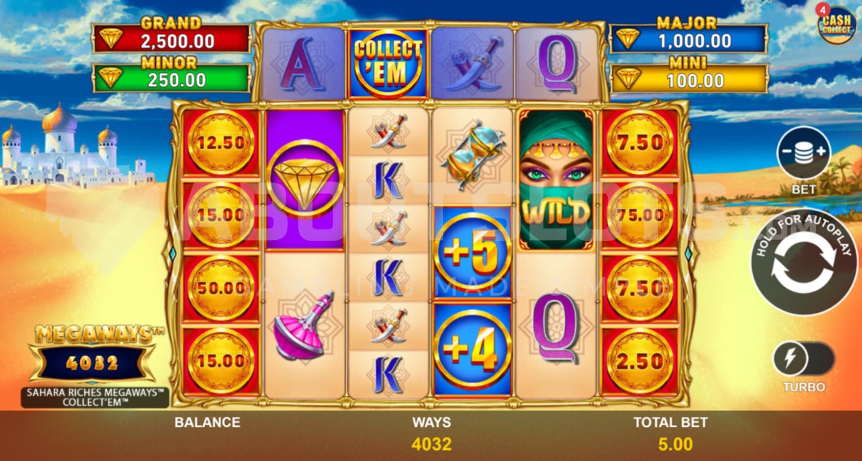 Sahara desert in the background