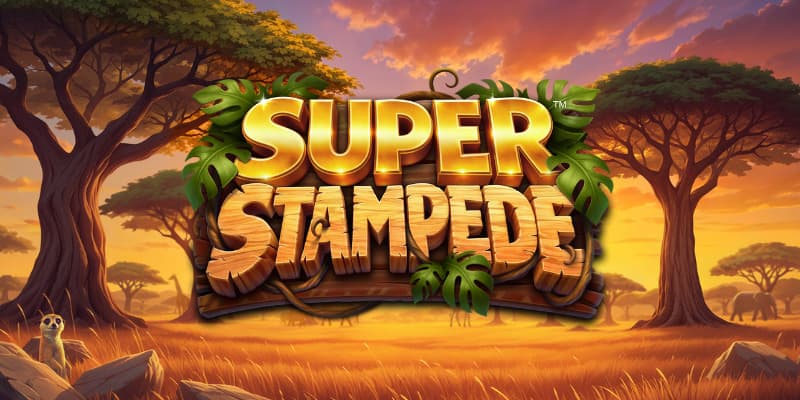 Super Stampede Banner