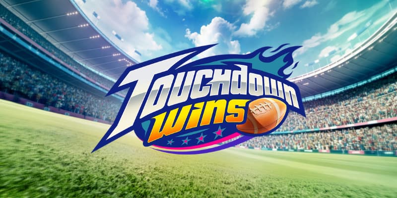 Touchdown Wins Banner