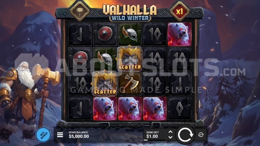 1X Bet Size