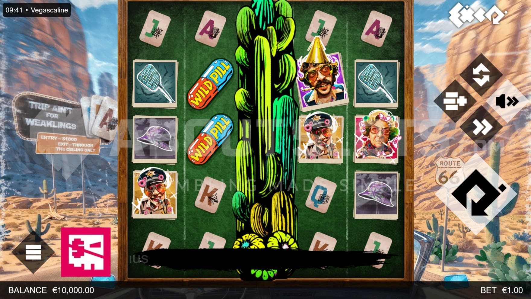 The Wrapper Stacks hide behind tall cacti and other flora