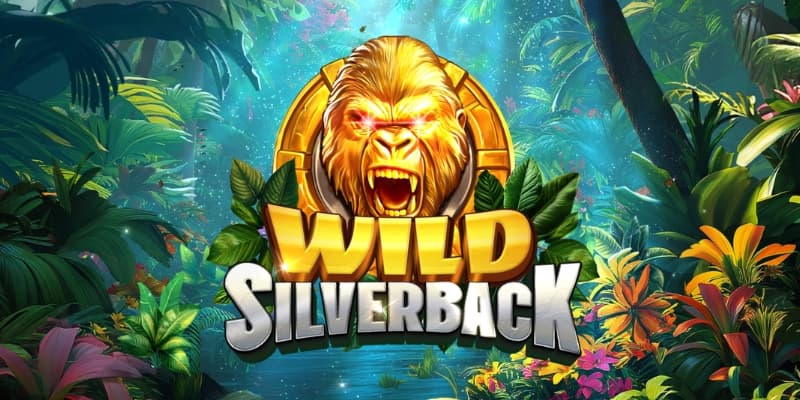 Wild Silverback Banner