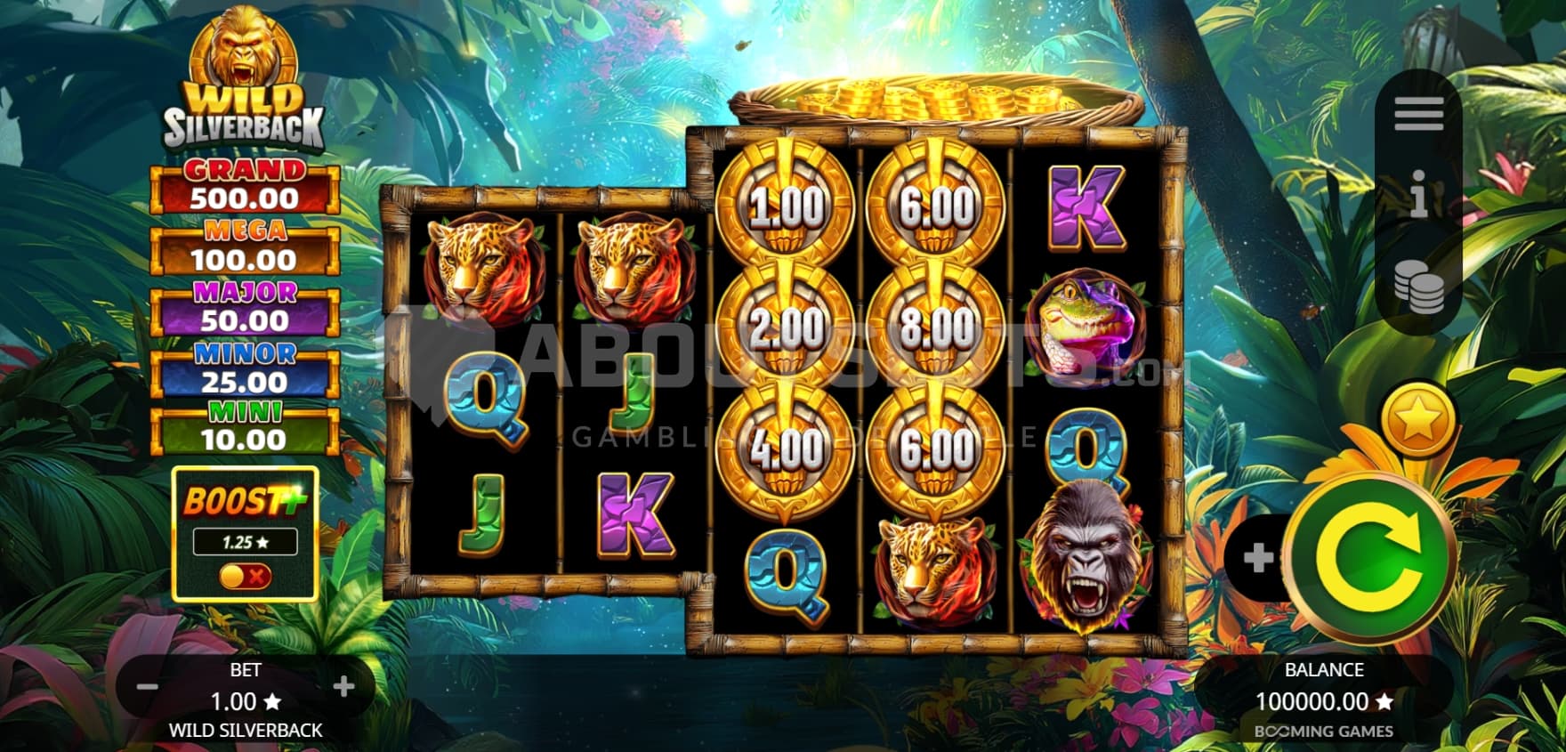 Game grid in dense jungle