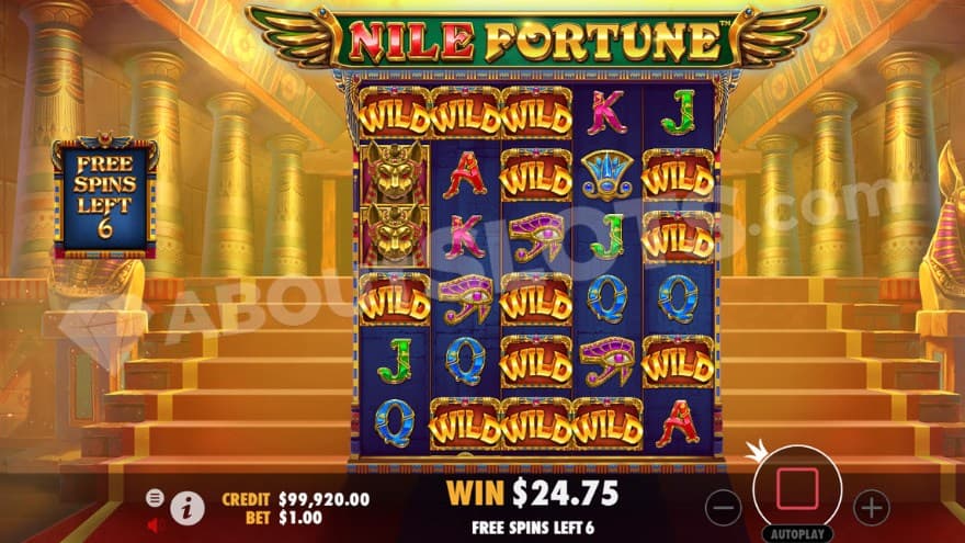 Free Spins feature with expanding reels giving 50 paylines.
