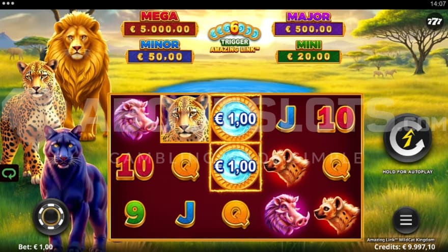 A casino slot featuring wild cat animals.