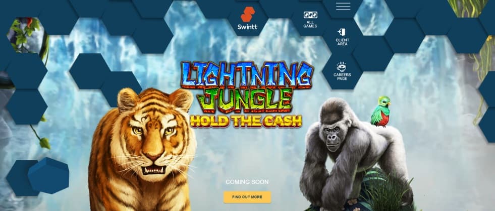 A screenshot from Swintt's homepage