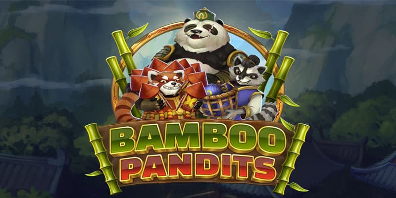 Bamboo Pandits Banner