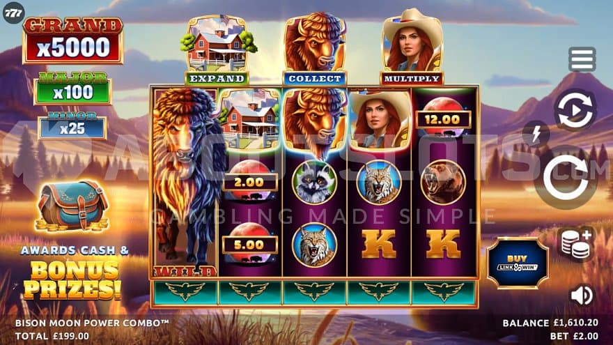 A casino slot with a bison theme.