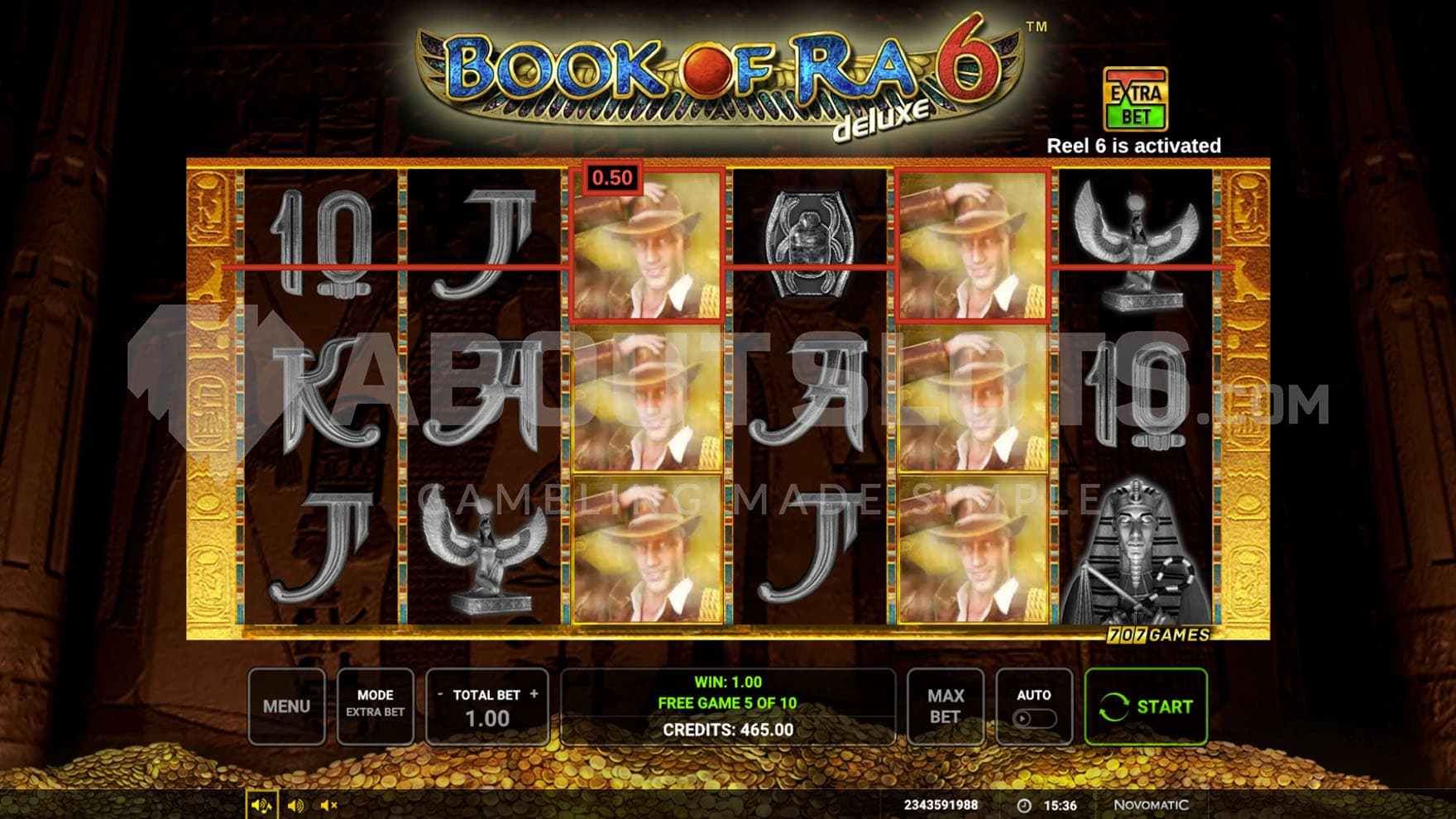 Free Spins bonus in progress, showing a win on the highest-paying expanded symbol on 2 reels.