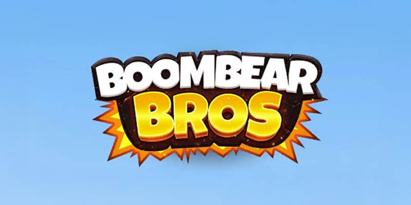 Boombear Bros Banner