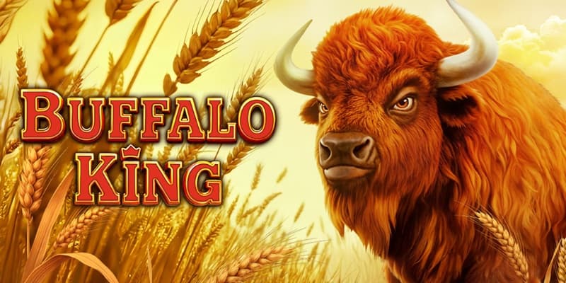 Buffalo King Megaways Banner