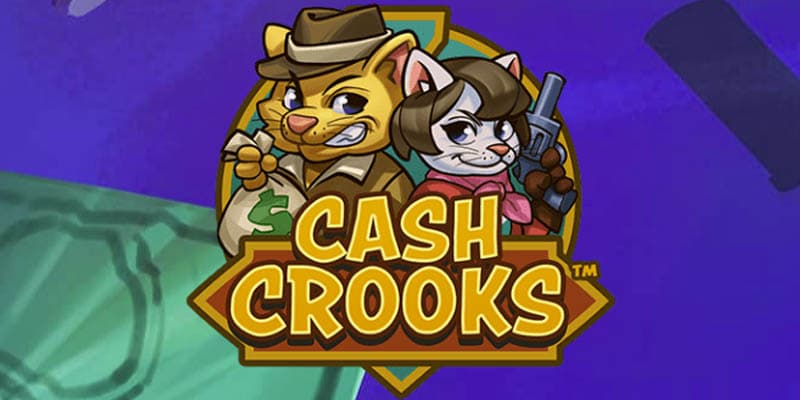 Cash Crooks Banner