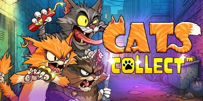 Cats Collect Banner