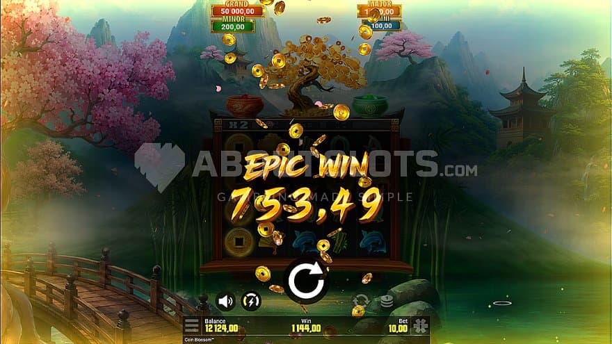 coin-blossom-snowborn-games-casino-slot-big-win.jpg