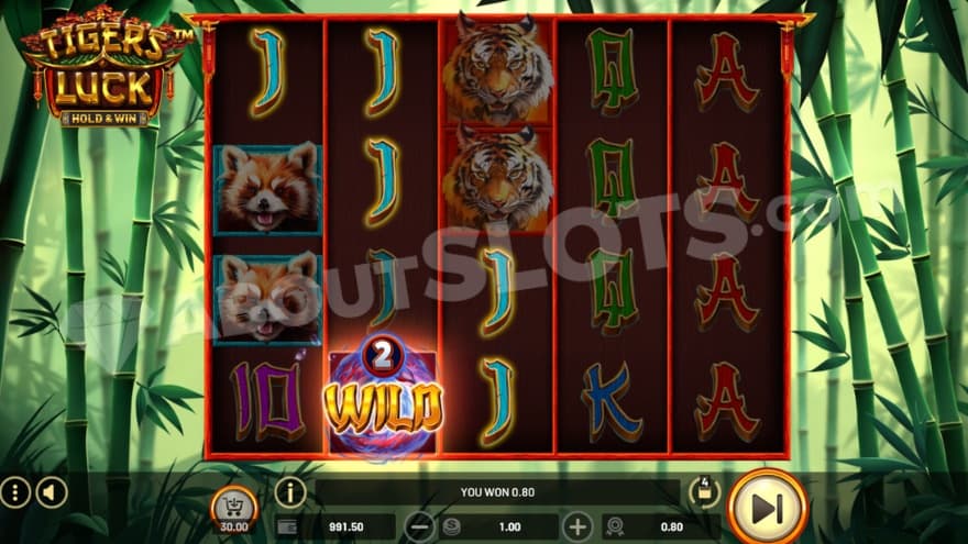 Sticky Wild symbol on the second reel being part of a win.