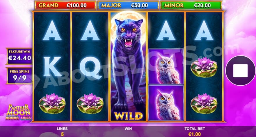 A win of 24.4X in the Free Spins.