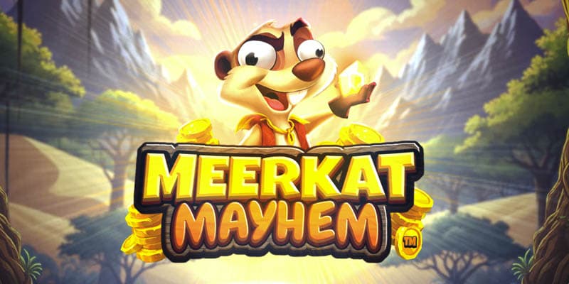 Meerkat Mayhem Banner