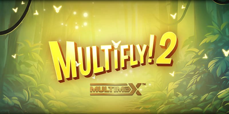 MultiFly 2 Banner