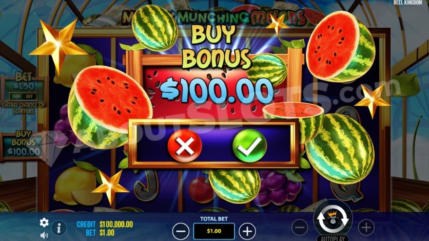 Bonus buy feature with one option to choose from.