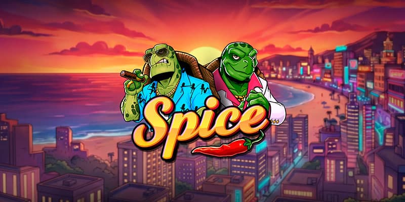 Spice Banner