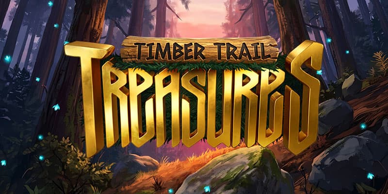 Timber Trail Treasures Banner