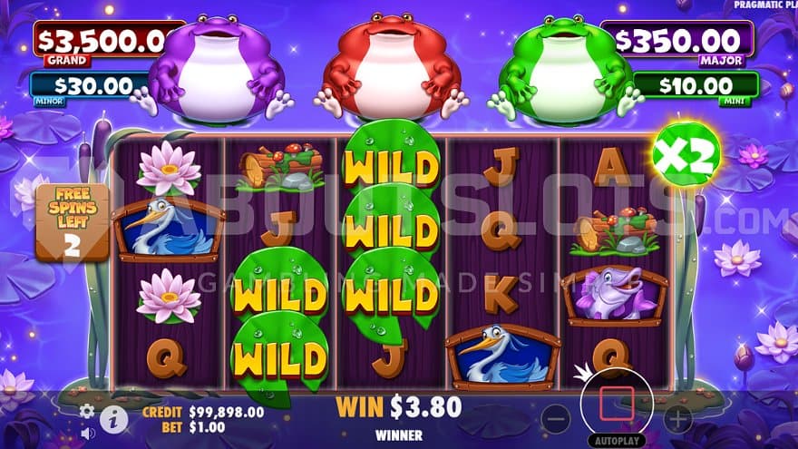 tiny-toads-pragmatic-play-casino-slot-free-spins.jpg