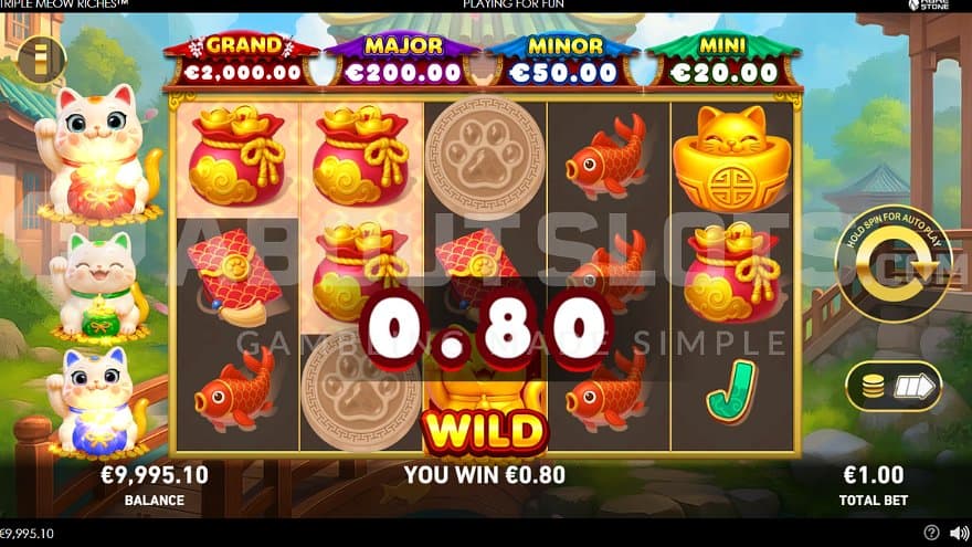 triple-meow-riches-playtech-casino-slot-win.jpg