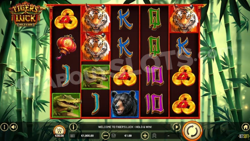 Base game with a dense bamboo forest in the background.