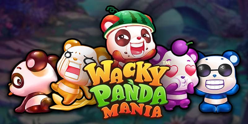 Wacky Panda Mania Banner